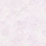03105919-7dd4-4181-b5fd-e84fa134551d.79ee496244b452d0c68fbf3923b376a9-150x150