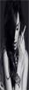 1d98f27bc5383831304de79184aede4d