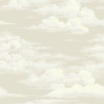 51Pr9p6JToL._AC_UF10001000_QL80_-150x150