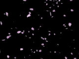77141285_fon93