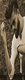 854b3bd8afc757fea6d8a9a6f65e36fa