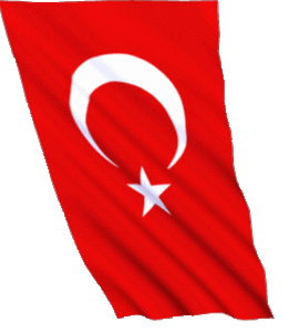 dalgali-turk-bayragi-9