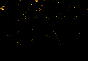 hareketli-gif-1flstr