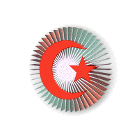 hareketli_turk_bayragi_resimleri2