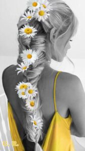 4bd49ebbd3c9d7902ece9fb5ed75eb9f
