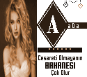 ada