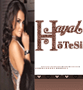 hayal