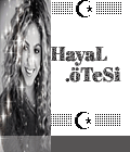 hayal3
